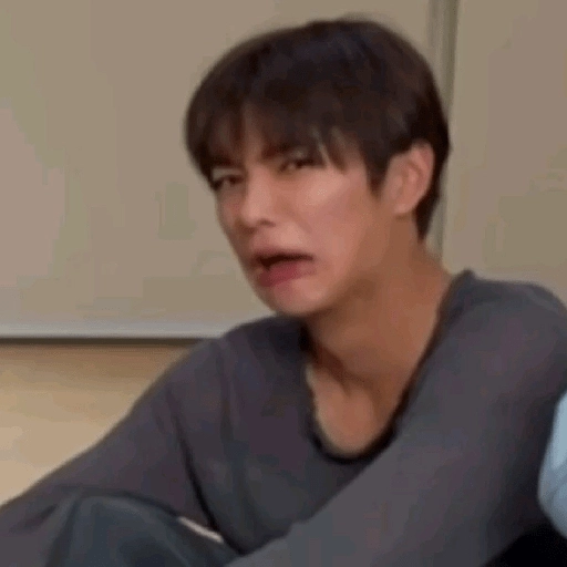 Figurinha: Sticker de meme do Lee Know