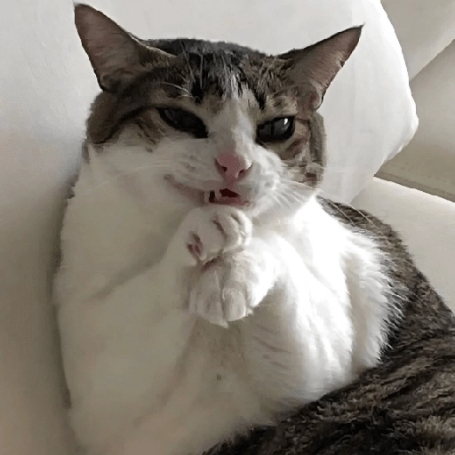 Sticker: Gato pensativo y astuto