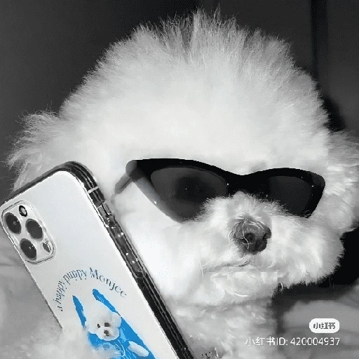Sticker: Perrito estiloso
