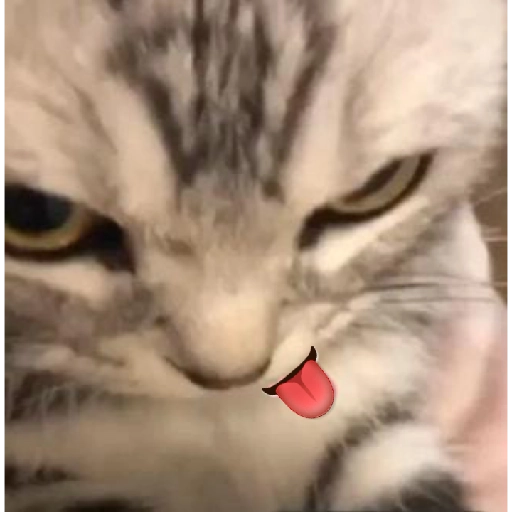 Sticker: Gatito enojado con lengua