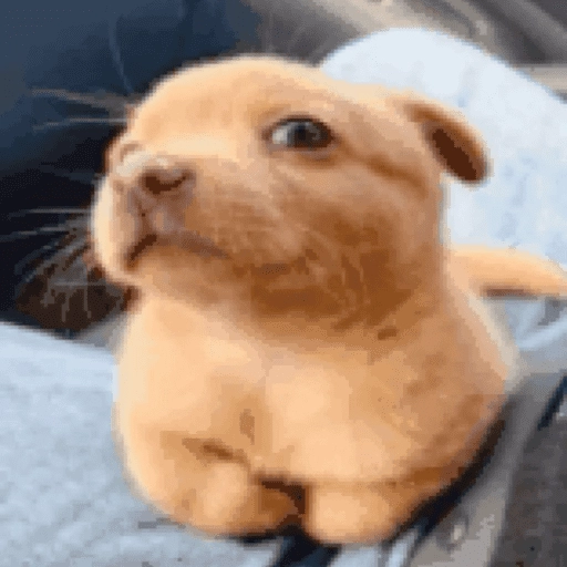 Figurinha: Cachorro filhote fofinho