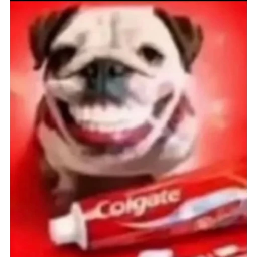 Figurinha: Cachorro Colgate