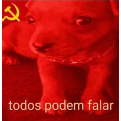 Figurinha: Todos podem falar