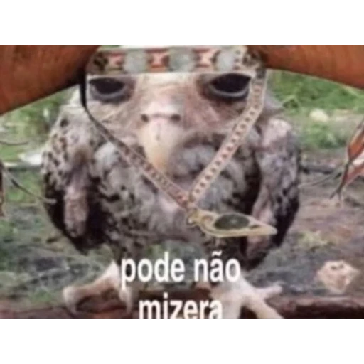 Figurinha: Pode não mizera