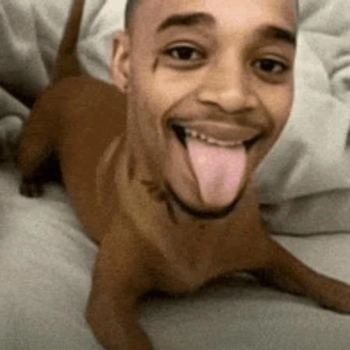 Figurinha: Cachorro Nego do Borel