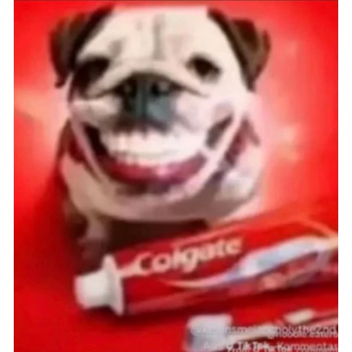 Figurinha: Cachorro Colgate