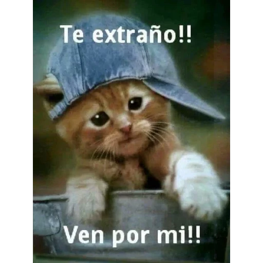 Figurinha: Te extraño!! Ven por mi!!