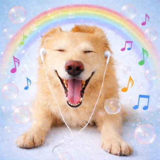 Sticker: Perro feliz escuchando música