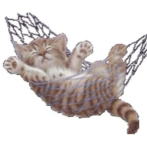 Sticker: Kitten in a hammock