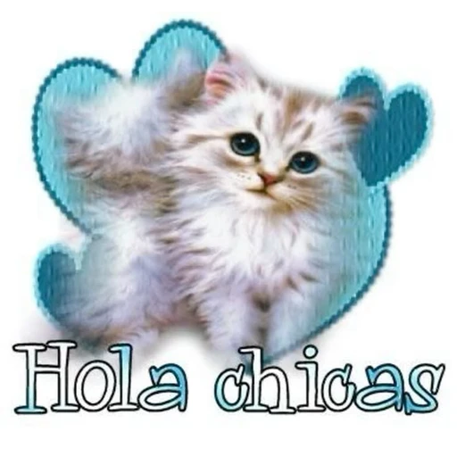 Sticker: Hola chicas