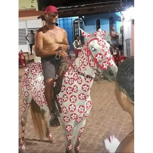 Figurinha: Cavalo com o 13