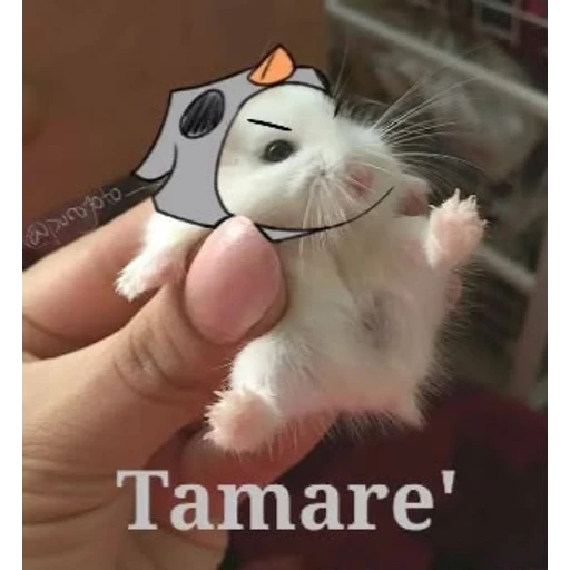 Sticker: Tamare'