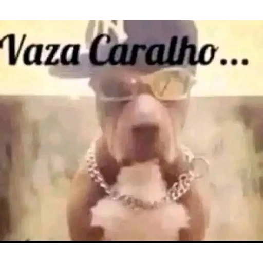 Figurinha: Vaza Caralho