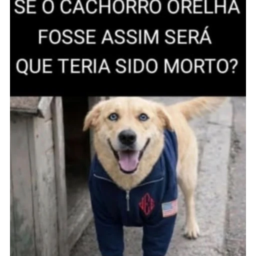 Sticker: Si el perro de orejas...