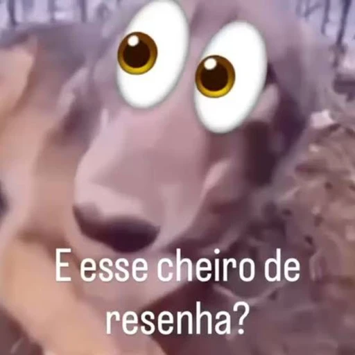 Figurinha: E esse cheiro de resenha?