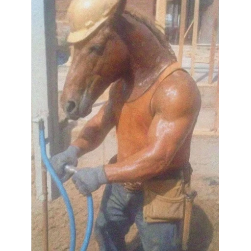 Sticker: Horse on the Job Site