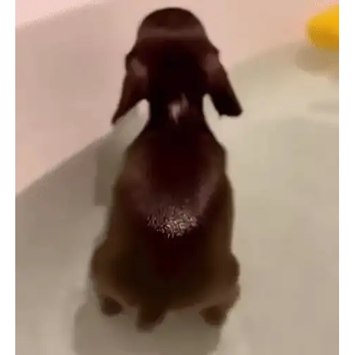 Figurinha: Cachorrinho na banheira
