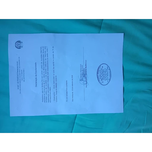 Figurinha: Declaração de Escolaridade