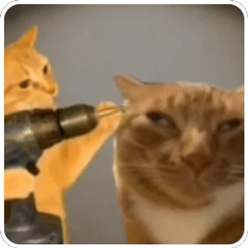 Figurinha: Gato com furadeira