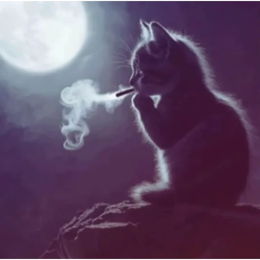 Figurinha: Gato pensativo