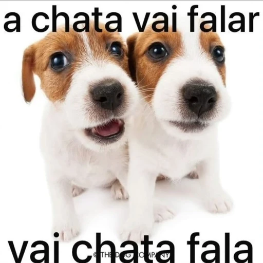 Figurinha: A chata vai falar