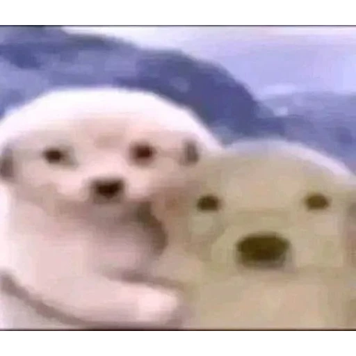 Figurinha: Ursinhos fofos