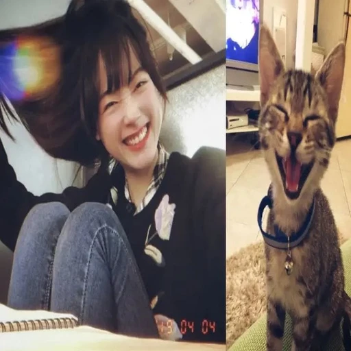 Sticker: Contagious joy