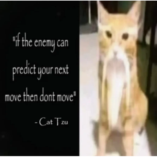 Sticker: Cat Tzu