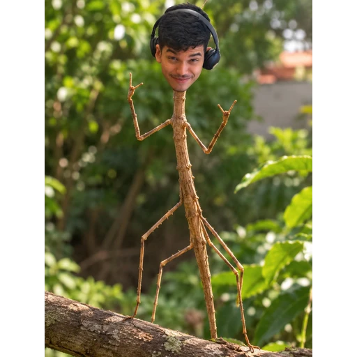 Figurinha: Bicho-pau com fone