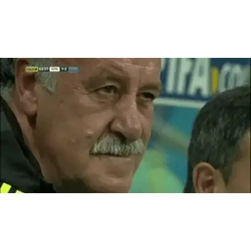 Sticker: Indignant Vicente del Bosque