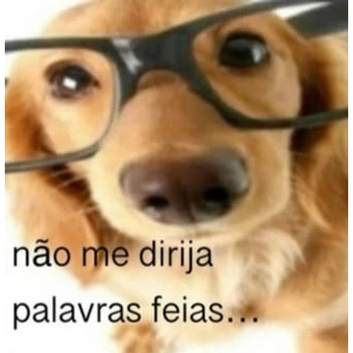 Figurinha: Não me dirija palavras feias