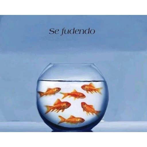 Figurinha: Se fudendo