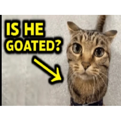 Figurinha: IS HE GOATED?