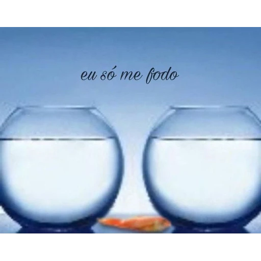 Figurinha: eu só me fodo