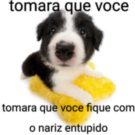 Sticker: Sticker via WhatsApp