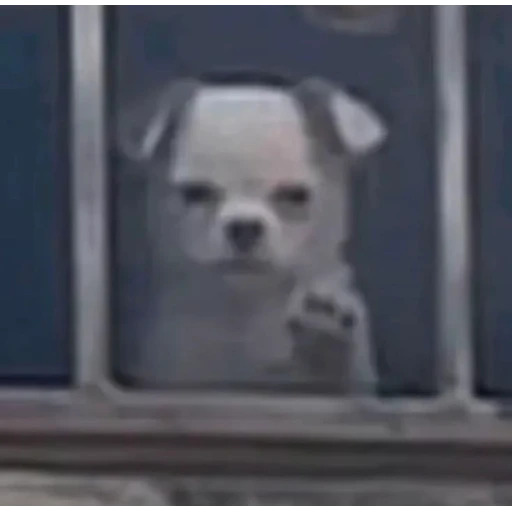 Figurinha: Cachorro na janela