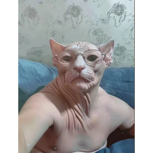 Figurinha: Gato de óculos