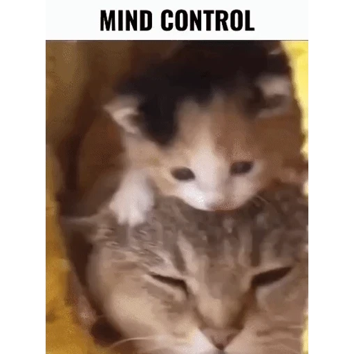 Figurinha: Mind Control