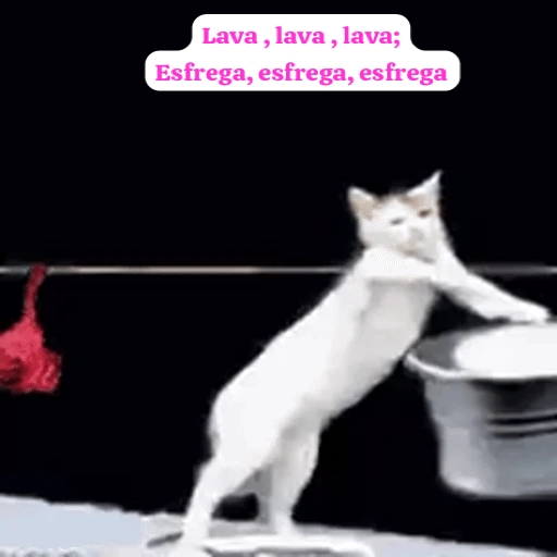 Figurinha: Lava, lava, esfrega