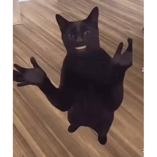 Figurinha: Gato dançante com sorriso