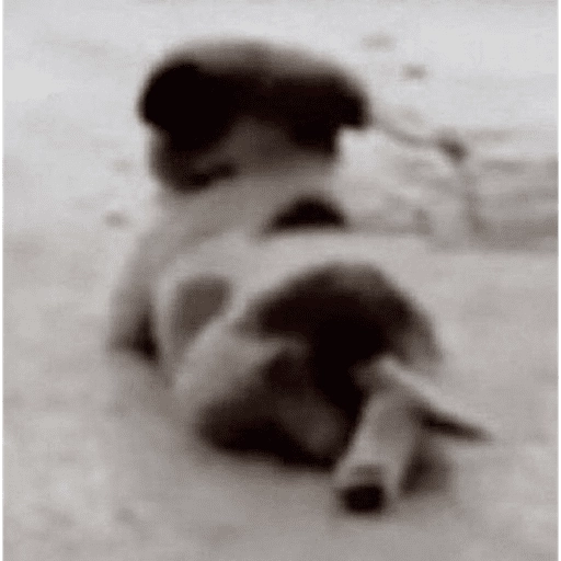 Figurinha: Cachorrinho fofo
