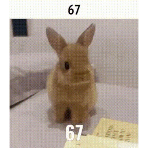 Figurinha: 67