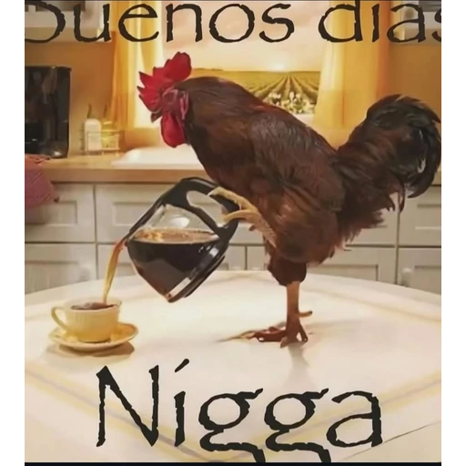 Figurinha: Galo cafezeiro