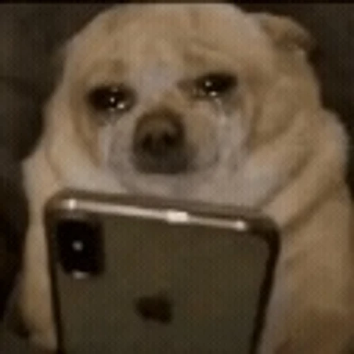 Figurinha: Cachorro triste com celular