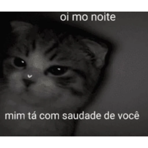 Figurinha: Oi mo noite, mim tá com saudade