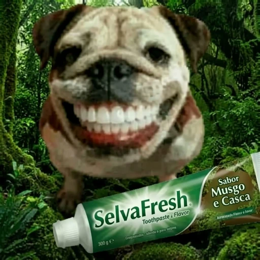 Figurinha: SelvaFresh