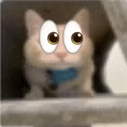 Sticker: Gato con ojos graciosos