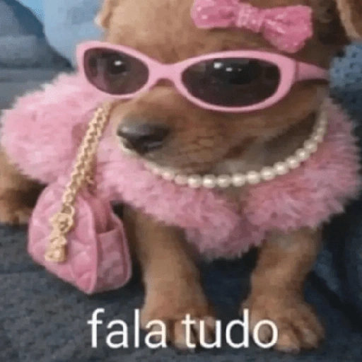 Figurinha: Cachorro fashion diz tudo