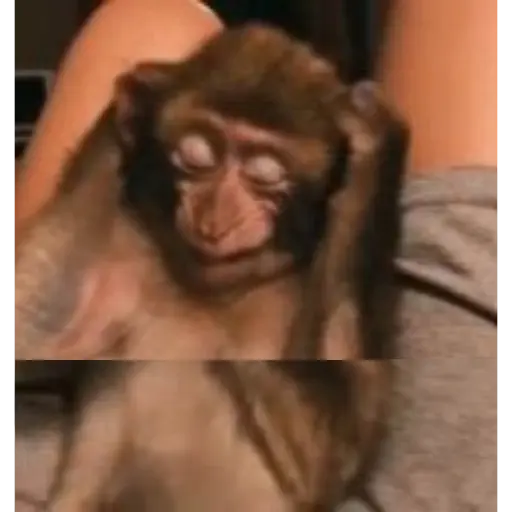 Figurinha: Macaco com dor de cabeça
