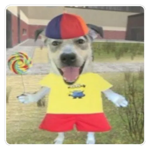 Figurinha: Cachorro Minion com Pirulito